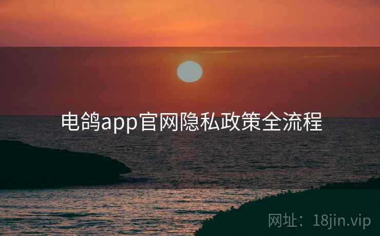 电鸽app官网隐私政策全流程