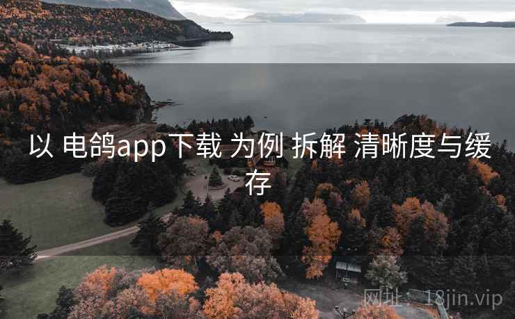 以 电鸽app下载 为例 拆解 清晰度与缓存