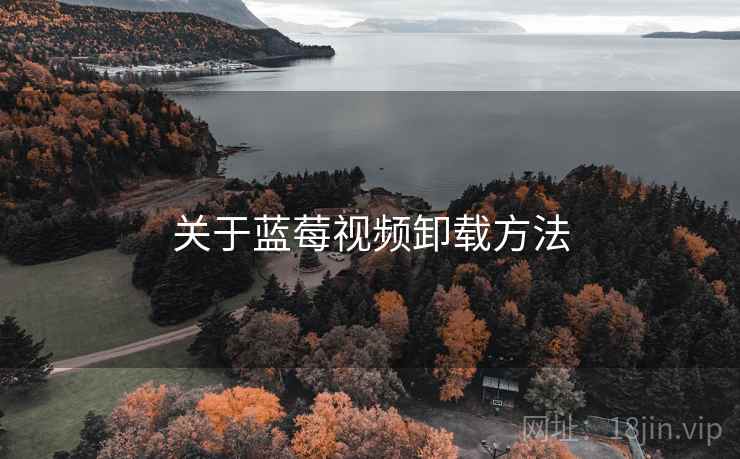 关于蓝莓视频卸载方法