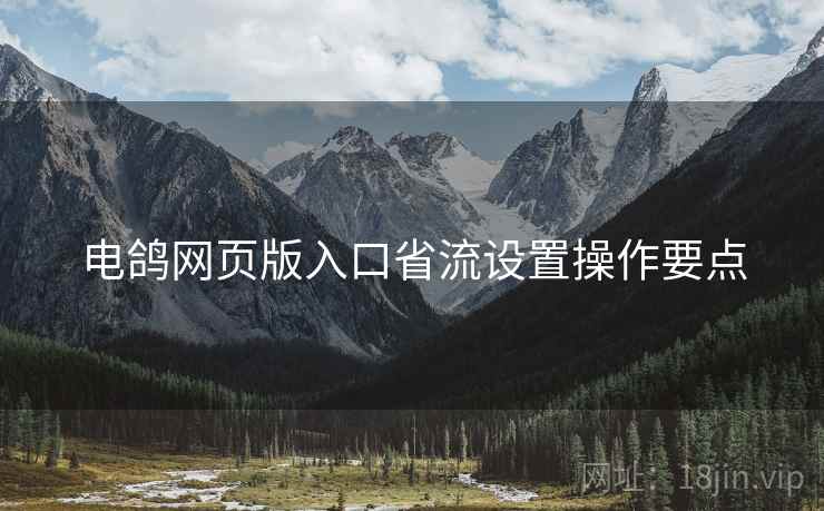 电鸽网页版入口省流设置操作要点