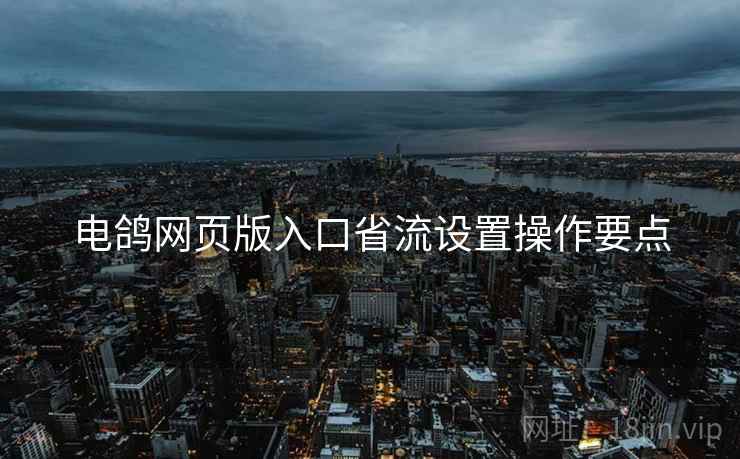 电鸽网页版入口省流设置操作要点