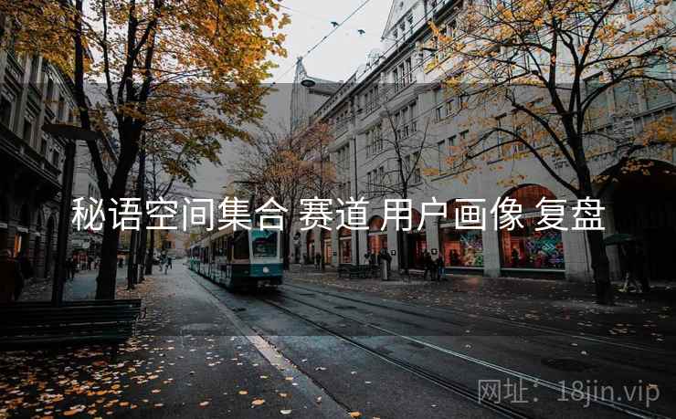 秘语空间集合 赛道 用户画像 复盘