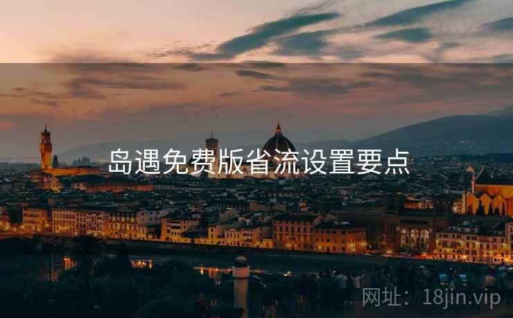 岛遇免费版省流设置要点