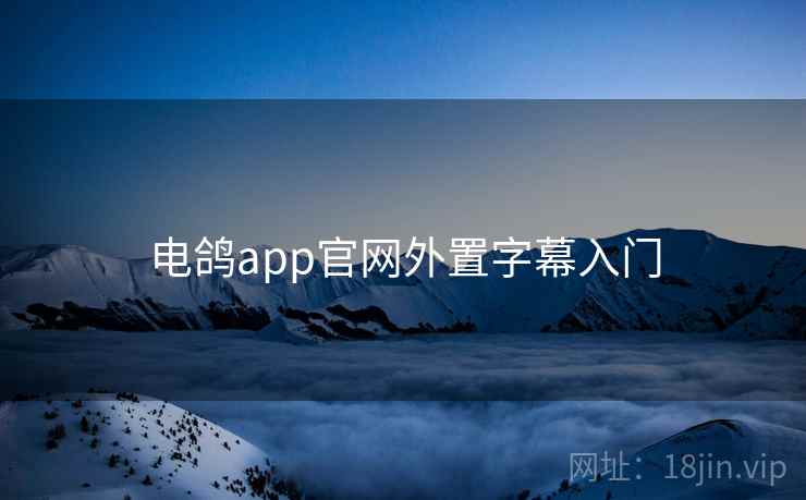 电鸽app官网外置字幕入门