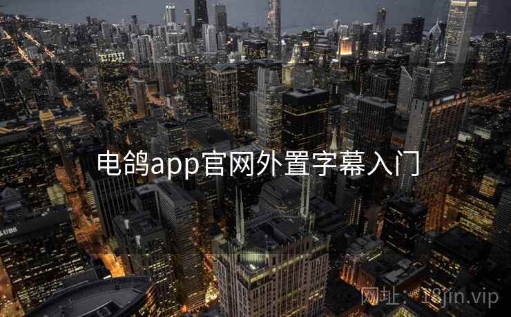 电鸽app官网外置字幕入门