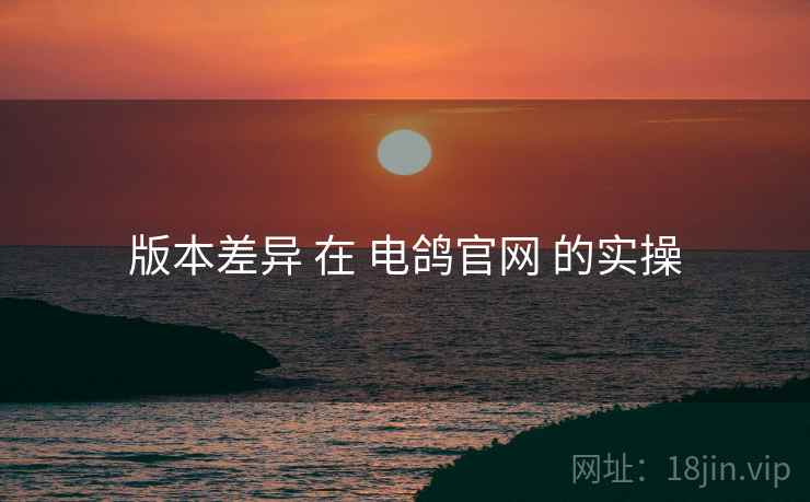 版本差异 在 电鸽官网 的实操