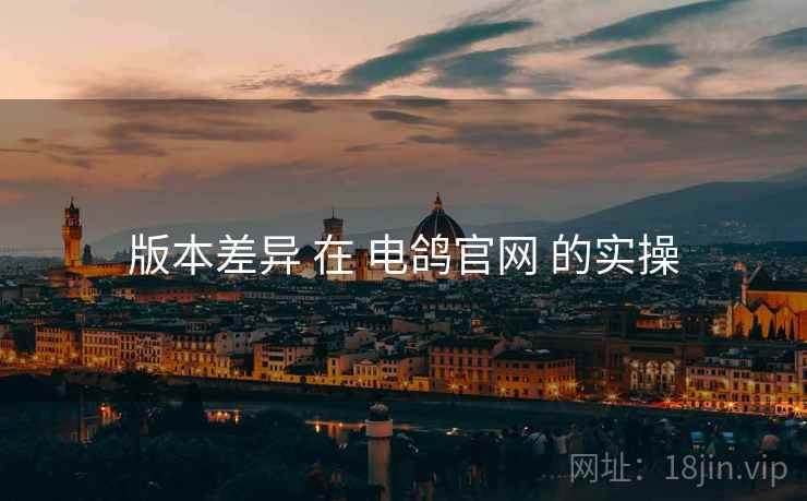 版本差异 在 电鸽官网 的实操