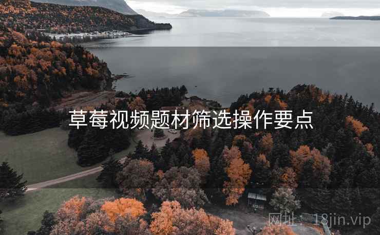 草莓视频题材筛选操作要点