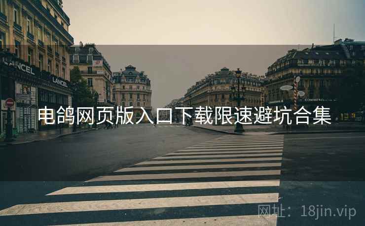 电鸽网页版入口下载限速避坑合集