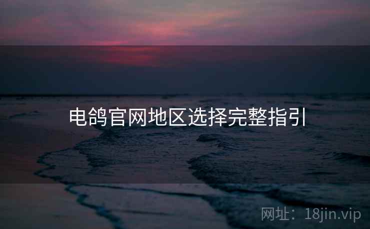 电鸽官网地区选择完整指引