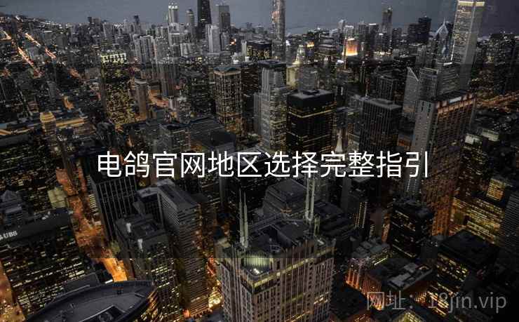 电鸽官网地区选择完整指引