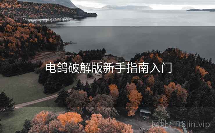 电鸽破解版新手指南入门