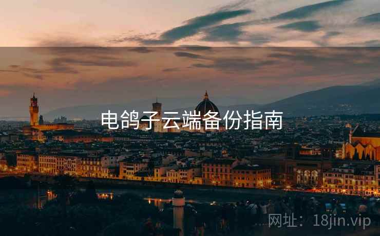 电鸽子云端备份指南