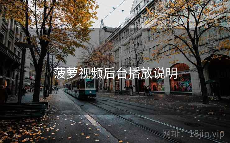 菠萝视频后台播放说明