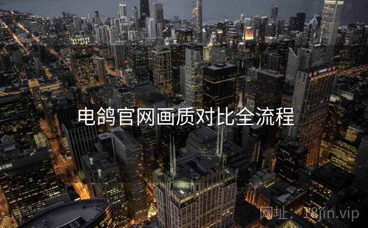 电鸽官网画质对比全流程
