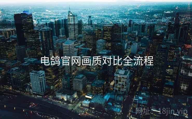 电鸽官网画质对比全流程