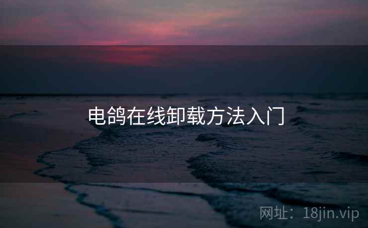 电鸽在线卸载方法入门