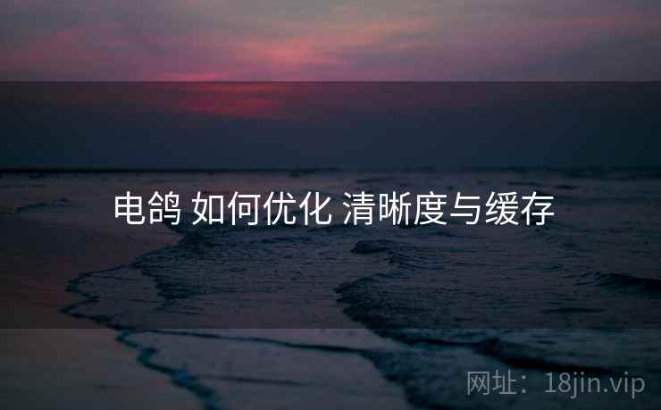 电鸽 如何优化 清晰度与缓存
