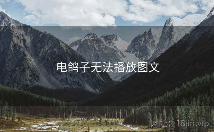 电鸽子无法播放图文