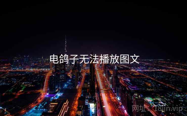 电鸽子无法播放图文