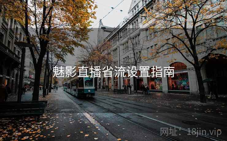 魅影直播省流设置指南