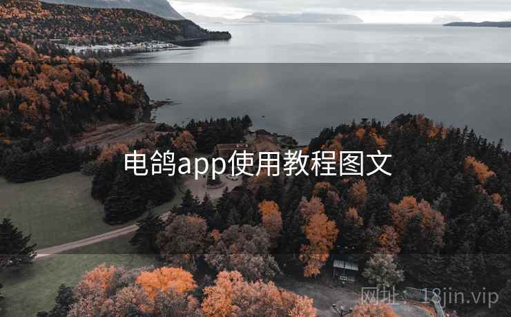 电鸽app使用教程图文