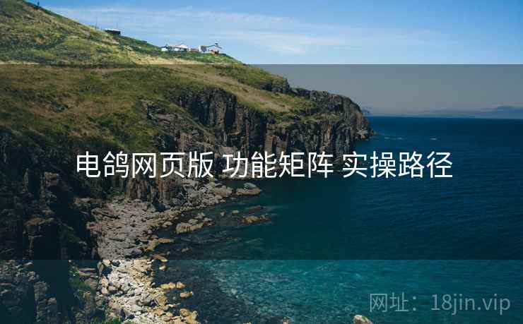 电鸽网页版 功能矩阵 实操路径
