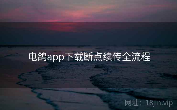 电鸽app下载断点续传全流程