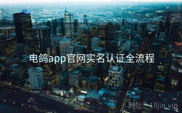 电鸽app官网实名认证全流程 电鸽app官网实名认证全流程